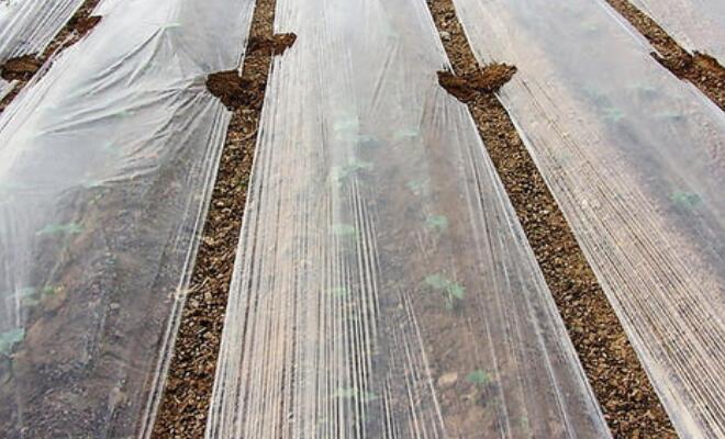 山西省市场监管局专项抽查106批次农用薄膜