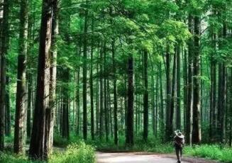山西省三个国有林场被授予“森林康养林场”