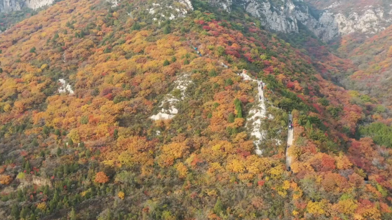 俯瞰崛围山 秋叶迷人眼