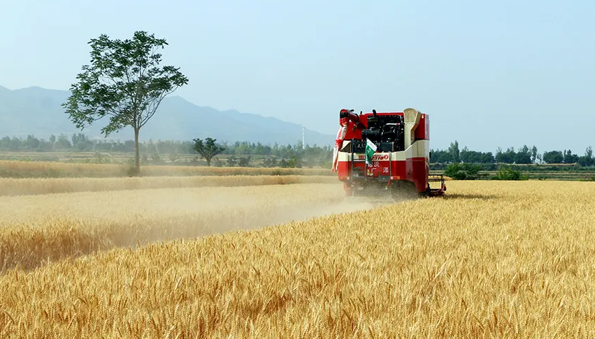 山西省夏收全面完成 小麦丰收已成定局
