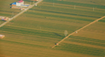 山西省农业技术推广服务中心发布小麦冬前田间管理意见